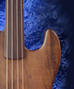 Schecter Fretless